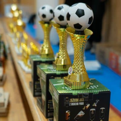 gallery_694d3efc1830a0.30168787.jpg